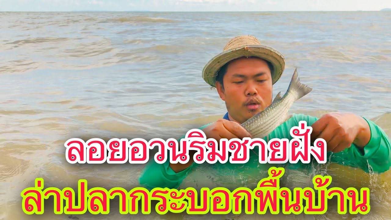 วิถีลูกชาวเล..ลอยอวนหาปลาริมชายฝั่ง..วิถีพื้นบ้าน..วิถีแห่งความสุข | วิถีพื้นบ้าน เดลิเวอรี่