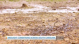 Drought Conditions Worsen Across South Carolina