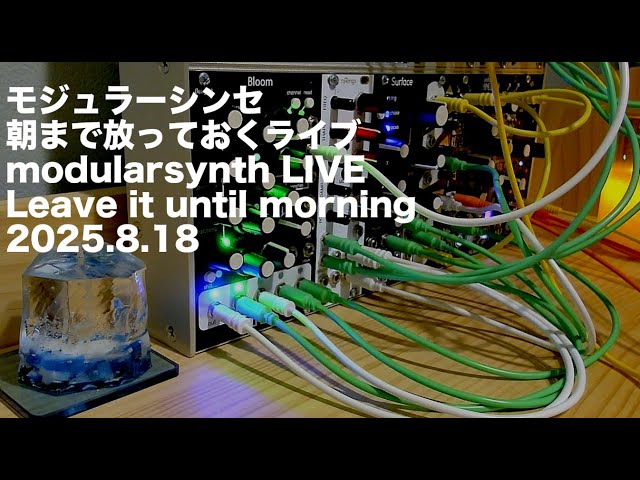 I Left My Modular Synth Alone All Night - Aug 18, 2025