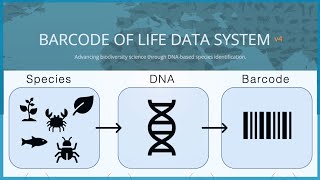 The Barcode of Life Boldly OVER-Explained