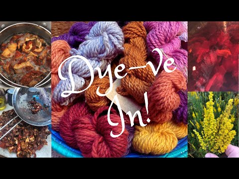 Beginners' Guide to Natural Dyeing