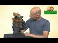 Gaston, die Fledermaus - Living Puppets Video