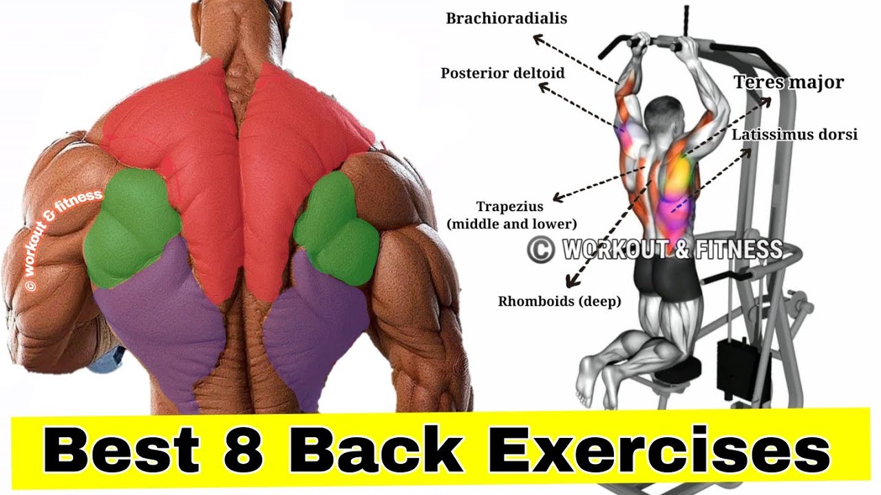 TOP 8 Best EXERCISES for BIG BACK !! Back EXERCISES YouTube