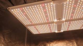 LED Grow Lights NZ - Herbal House
