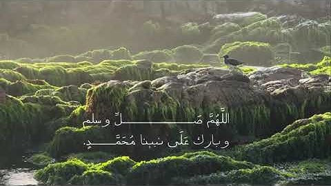 ||سورة الأحزاب _٥٦ || علي جابر || #علي_جابر #قرآن #قران_كريم  مو لي 🫀.