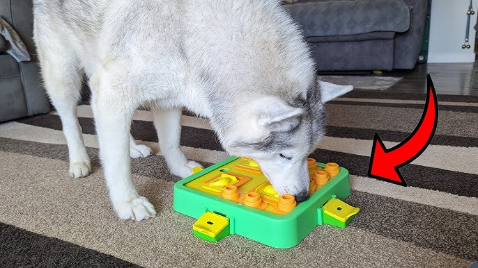 Potaroma Dog Puzzle Toy 2 Levels, Slow Feeder