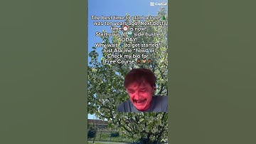 Dont get left behind in the AI revolution