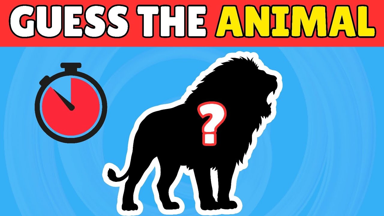 Задание «Угадай силуэт животного»: угадай всех! 🦒 (99% неудач)