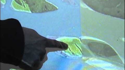 Gesture Visualization: Height (Full Quality)