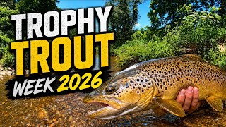 Trophy Trout Fishing a Huge Crowd