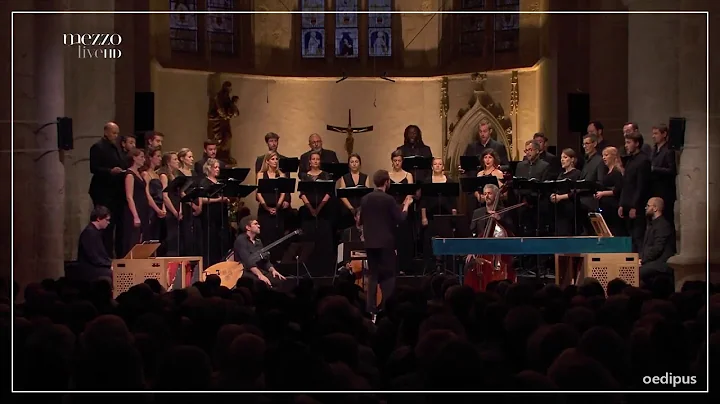 Bach: The complete motets, BWV 225 - 230 | Raphaël Pichon & Ensemble Pygmalion