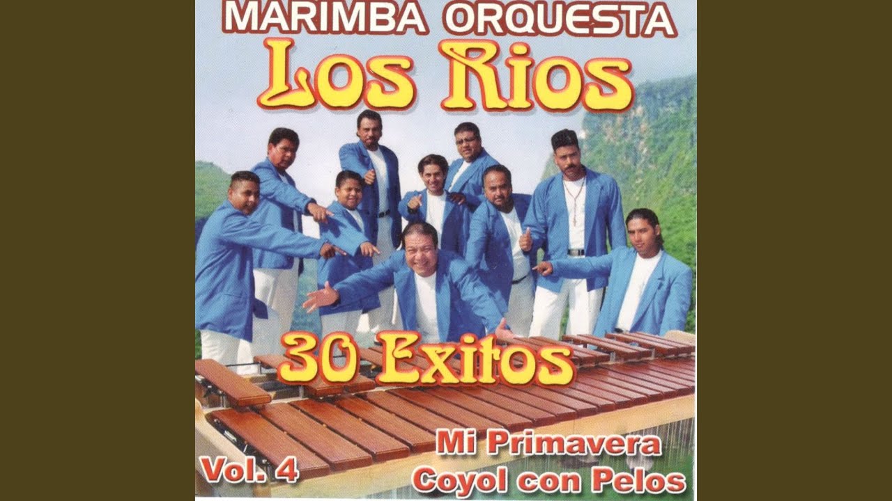 Danza De Los Viejitos auf YouTube ansehen