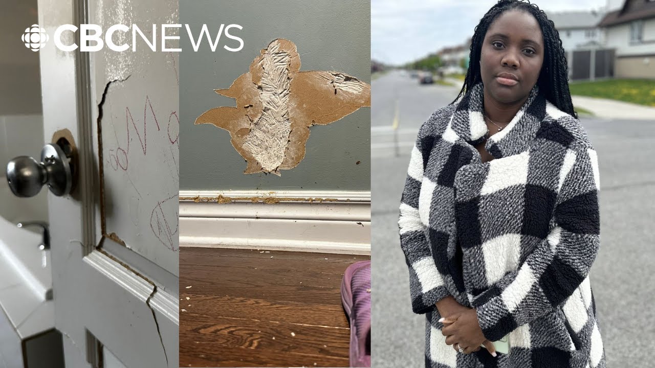 How one couple racked up nearly $100K in unpaid rent for 4 years and got away with it