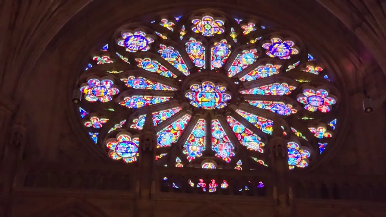 David visits Washington, DC!!! Давид в Вашингтоне, округ Колумбия!!!