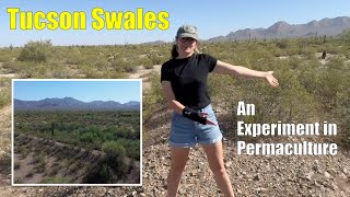 Tucson Swales - an Experiment in Permaculture