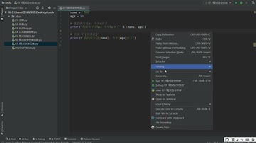 Python变量和数据类型：2.13 输出 f-格式化字符串