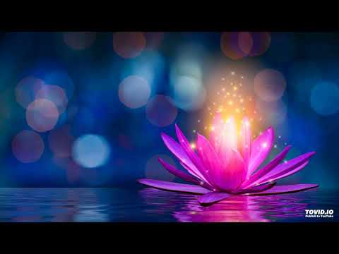 28 שער הנקודים פרק א חלק ב | אוצרות חיים למתחילים | הרב אריאל סיבוני | שיעורים והקדמות לחוכמת הקבלה