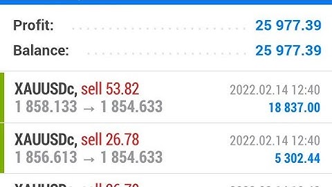 Exness live Trading Account ll Cabana capitals ll octafx ll Mt4 Robot ll Gold Robot