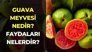 Guava Meyvesi Nedir? Guava Meyvesinin Faydaları Nelerdir?