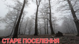 :     Ĳ, ˲!