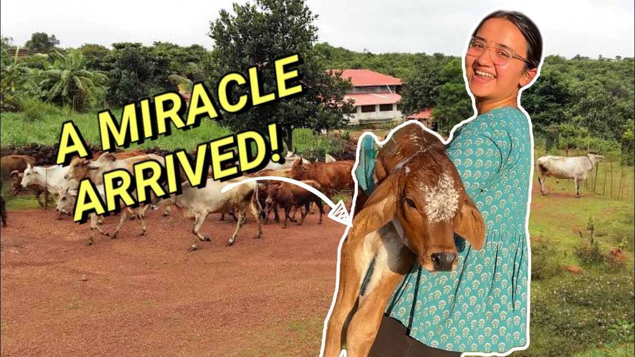 GHAR MEIN KHUSHIYAN! 😍