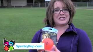spunky pup fetch and glow