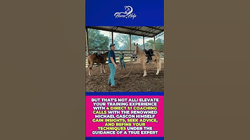 Level Up Your Horse Training With The Horse Help University | The Horse Guru-Michael Gascon