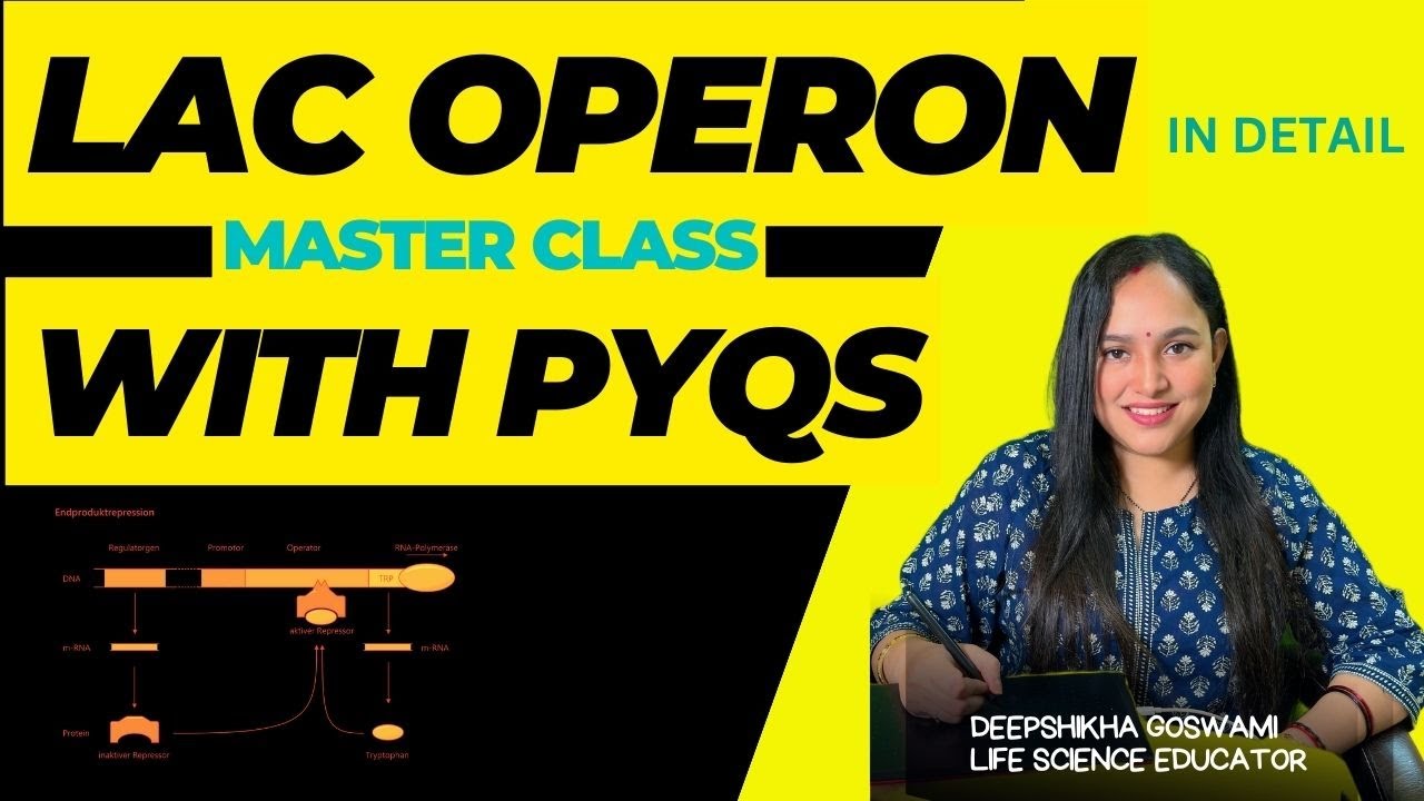 LAC OPERON Masterclass | Gene Regulation in Prokaryotes | With PYQs ...