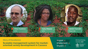 Scalable management system for market-oriented variety development in Cassava