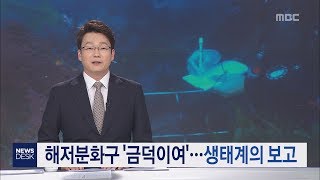 해저분화구 금덕이여     생태계의 보고     오승철 기자