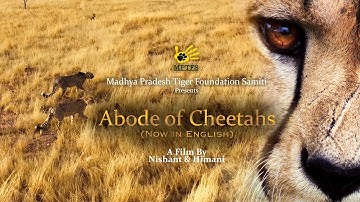 Abode of Cheetahs