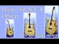 Elitaro E4010C-N акустическая гитара, честный обзор. Гитара элитаро 4010 отзыв.