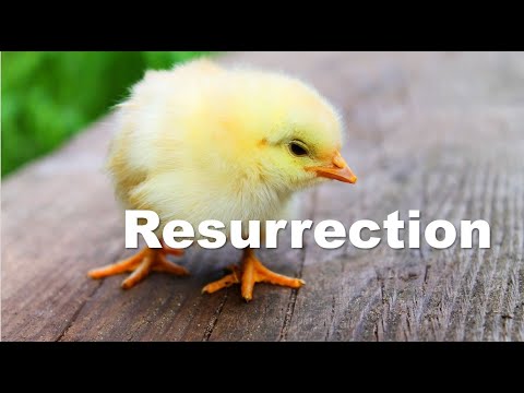 All things new- the meaning of Easter in the esoteric tradition
