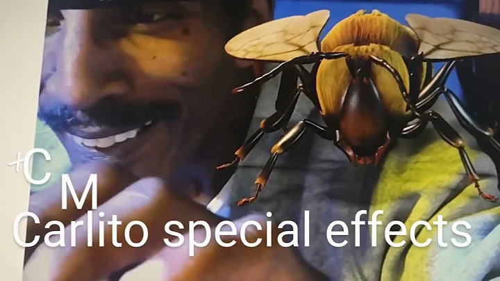special effects Carlito demonstrates the bee