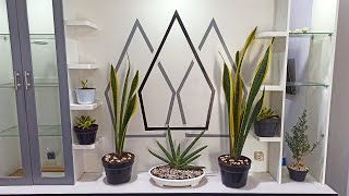 Living Room Decoration Ideas with Indoor Plants - Snake Plants