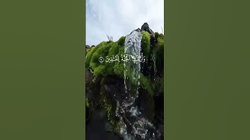 #الشيخ ياسر الدوسري # سورة الشعراء