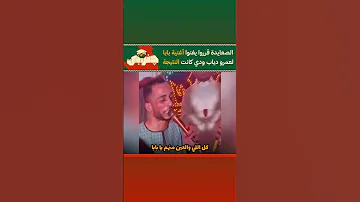 اغنية بابا عمرو دياب ترند عمرو دياب صعيدي Viralvideo 