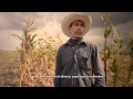 Campesino - Zacatecas