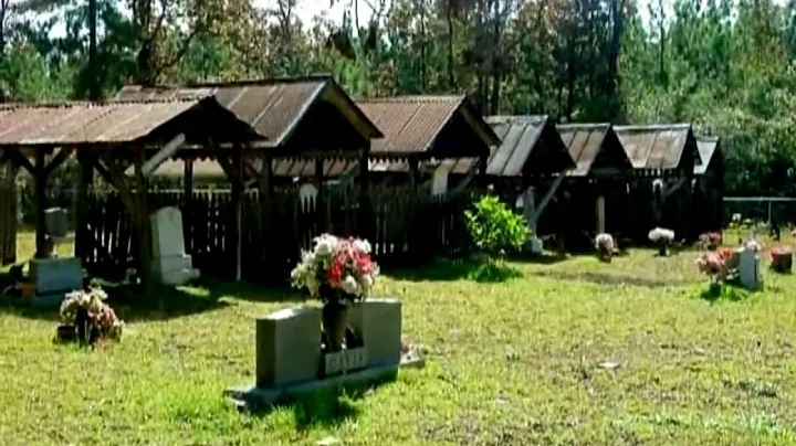Vernon Parish, Wildflower Capital of Louisiana
