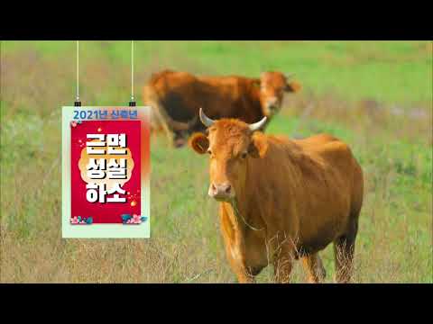 2021 신년 ID