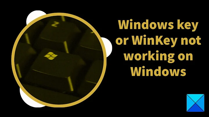 Windows key or WinKey not working on Windows