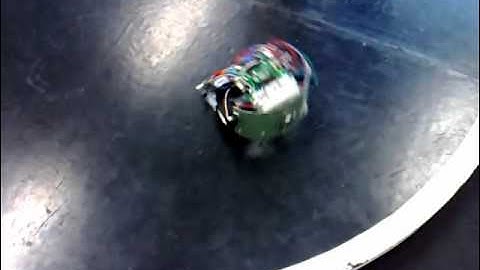 Swinburne Sumo Robot Competition (2010)