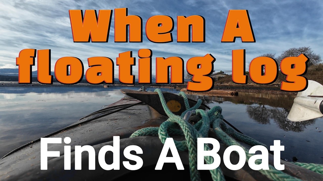 ⁣When A Floating Log Finds A boat