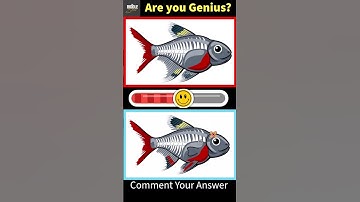 Can You Find 3 Hidden Mistakes? 👀 | Puzzle Challenge #findthedifference #viral #youtube #shorts