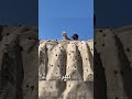 كيف تصور هوليوود مشاهد الأكشن في الواقع