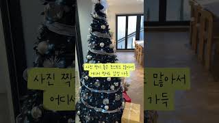 수영뜰 영상