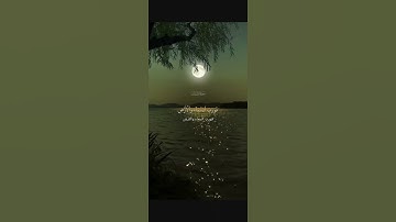 (وفي السماء رزقكم وما توعدون) سورة الذاريات القارئ اسلام صبحي 🌿.