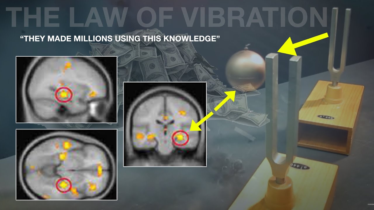 'Suddenly I started making a lot of money'  | This is How to Use THE LAW OF VIBRATION CORRECTLY