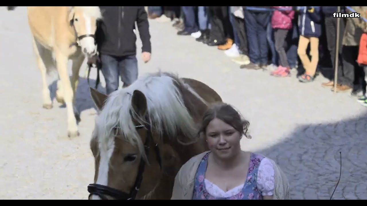 Obernberg am Inn Oldtimer Traktoren Pferdekutsche Pferde Festumzug Pferdemarkt