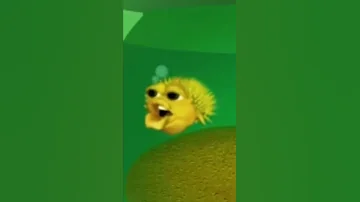 Yellow Singing Pufferfish 